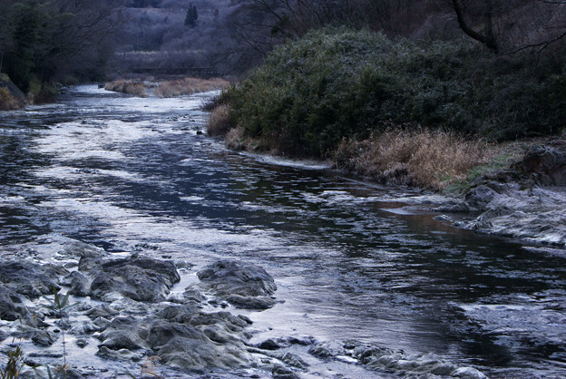 写真: シガの流れる久慈川