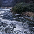 シガの流れる久慈川