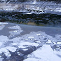 凍てついた久慈川をシガは流れる