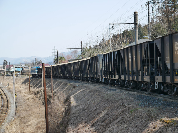 写真: 秩父鉄道三輪線（貨物線）の貨物列車
