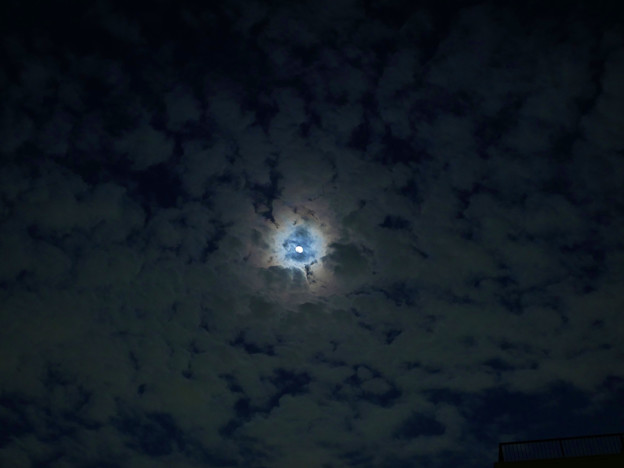写真: うろこ雲の狭間の月（虹色？！）