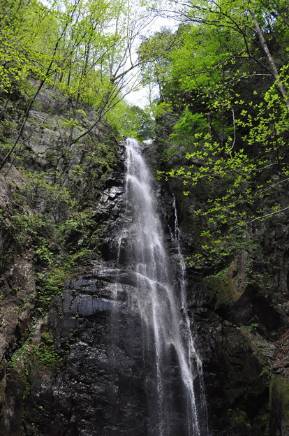 写真: 5月5日の山のぼり〜♪3　滝