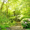 写真: つつじ咲く新緑に囲まれた小径
