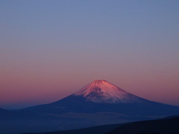 写真: 元旦の朝陽を浴びる富士