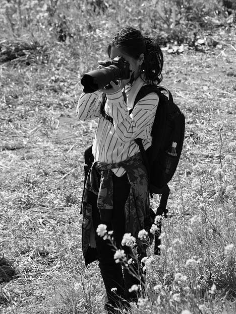 写真: 春色を撮り収めるカメラ女子