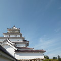桜の鶴ヶ城
