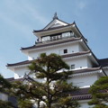 桜の鶴ヶ城
