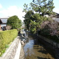 写真: 柳川お堀の水落ち