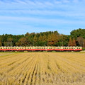 写真: 里山列車