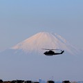 Photos: 富士山とコブラ