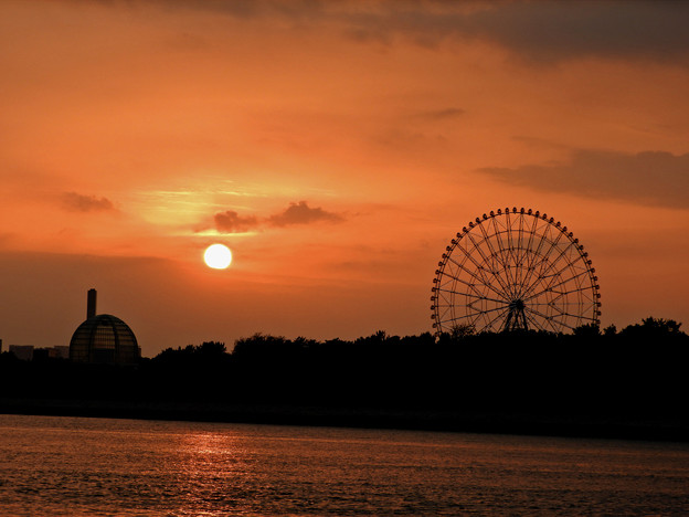 写真: 旧江戸川からの夕日