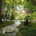 写真: 京都・金戒光明寺（２）ご縁の庭　H28,11,15