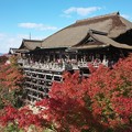 写真: 京都、清水寺・舞台　H28,11,16