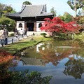写真: 京都、高台寺・臥龍池と開山堂　H28,11,16