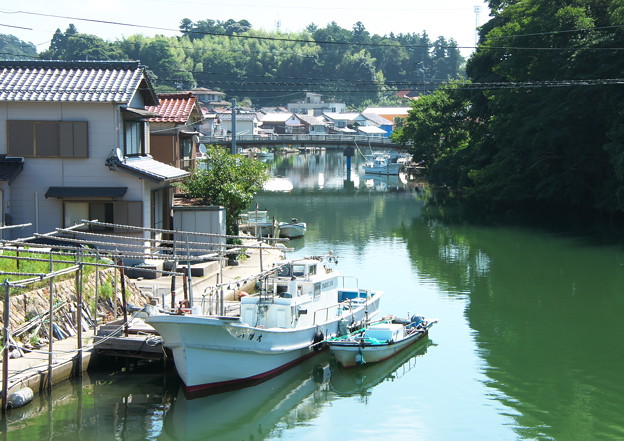 写真: 八尾川風景（１５）