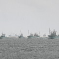 写真: 隠岐島後・西郷港、松直し（９）港へ向かう事代丸船団