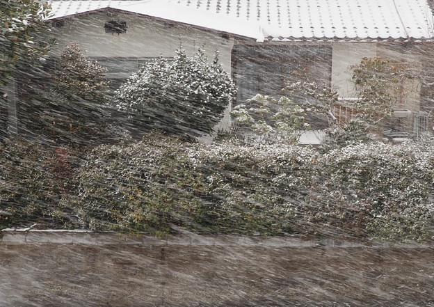 写真: 吹雪（１）自宅二階から