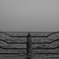 写真: 海と柵