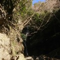 写真: 不動の滝2