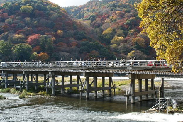 写真: 京都嵐山、渡月橋の秋景色！（091130）