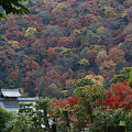 写真: 錦色の嵐山091130-914