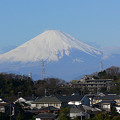写真: 富士山北鎌倉0101ta.jpg