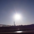 写真: 木根川橋とスカイツリー