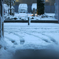 写真: 道路の雪