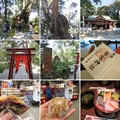 写真: 熱海来宮神社