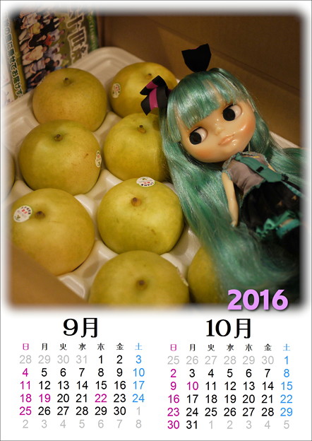 写真: ドールカレンダー201609-10梨と初音ミク