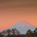 写真: 富士山の写真