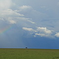 写真: 平原の虹