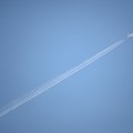 写真: 飛行機雲　アメリカン航空
