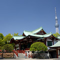 写真: 亀戸天神社とツリー