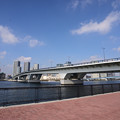 写真: 豊洲大橋
