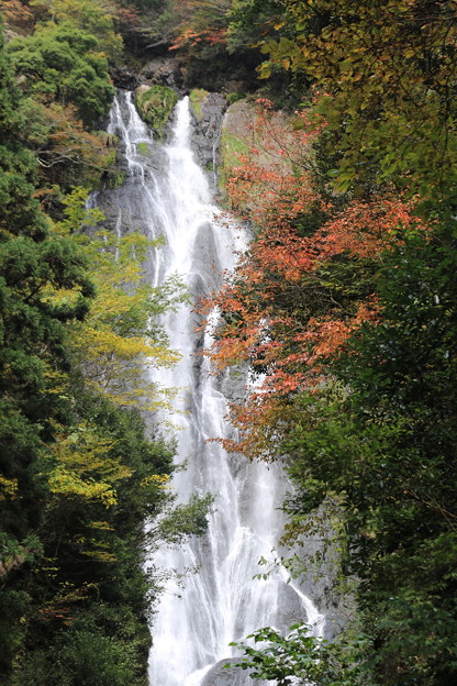 写真: 神庭の滝