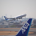 写真: 飛行機 ANA 767