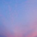写真: 桜色の雲と月