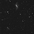 NGC660とUGC1195