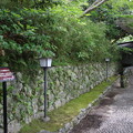 写真: 田原城跡･二ノ丸石垣