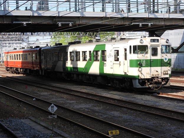 写真: 烏山線色キハ40 1008＋旧国鉄一般型標準色キハ40 1003