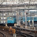 写真: 阪和線103系