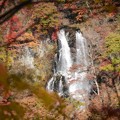 Photos: 秋色 霧降の滝
