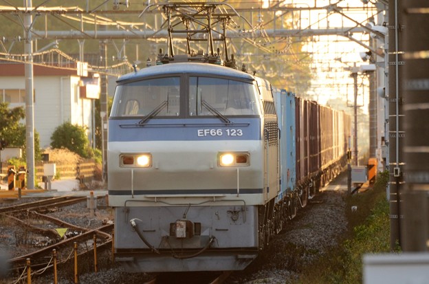 写真: EF66 123号機代走牽引4073レ晩秋夕刻の間々田1番通過