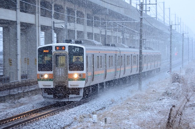 写真: 雪の宇都宮線を行く211系