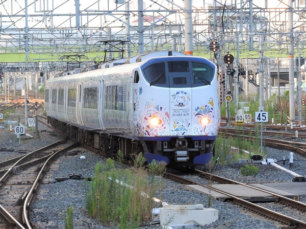 写真: 281系ハローキティ特急はるか新大阪3番入線