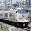 Photos: 251系特急はるか27号新大阪3番入線