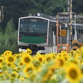 Photos: 烏山線ACCUMひまわり満開の小塙駅発車
