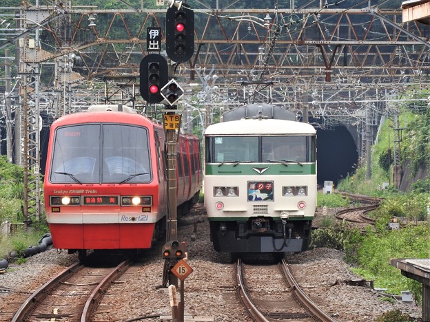 写真: 185系特急踊り子9号と伊豆急リゾート21キンメ電車