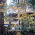 写真: 大本山永平寺の紅葉